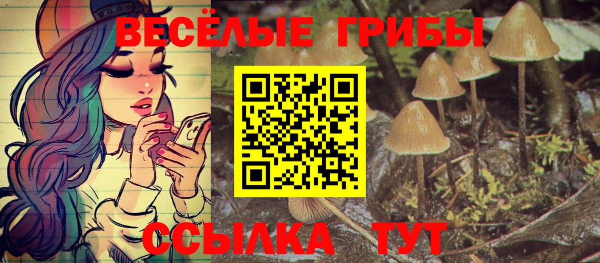 Балахна  Псилоцибиновые грибы Magic Shrooms  Вход с VPN 