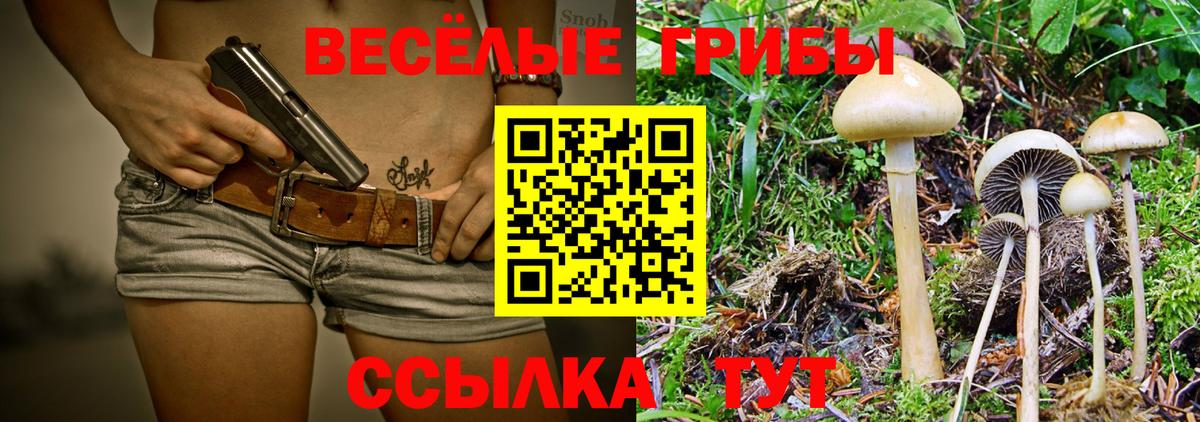 Галлюциногенные грибы Magic Shrooms Балахна